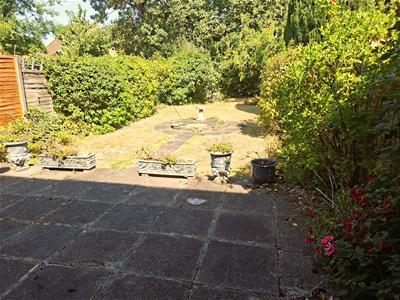 Picture 14